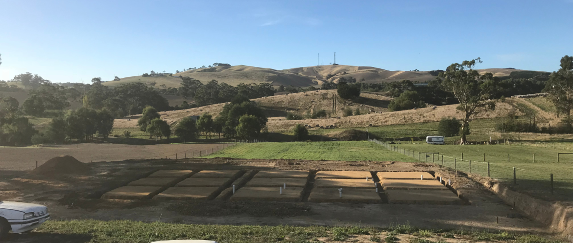 Untitled design – 2025-01-14T153618.990 Untitled design - 2025-01-14T153618.990